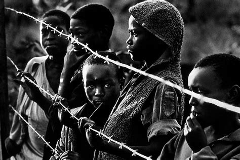 in the aftermath of genocide the u s role in rwanda Reader