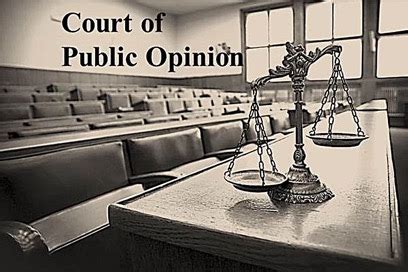 in the court of public opinion in the court of public opinion Kindle Editon