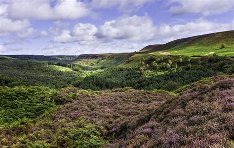 in the north of england the yorkshire moors and dales Epub