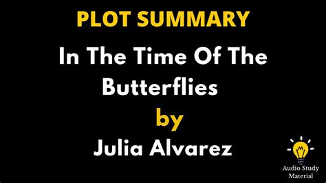 in the time of the butterflies chapter summary