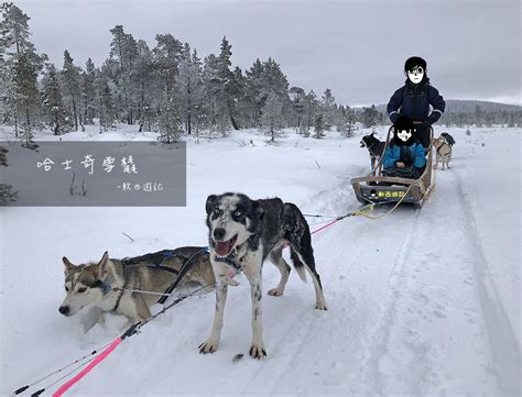 inari 活動