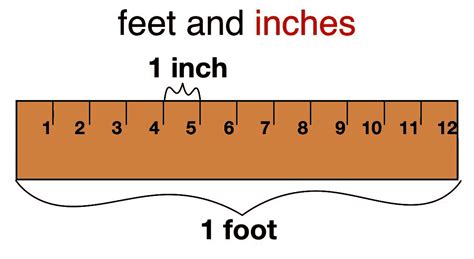 inches per feet