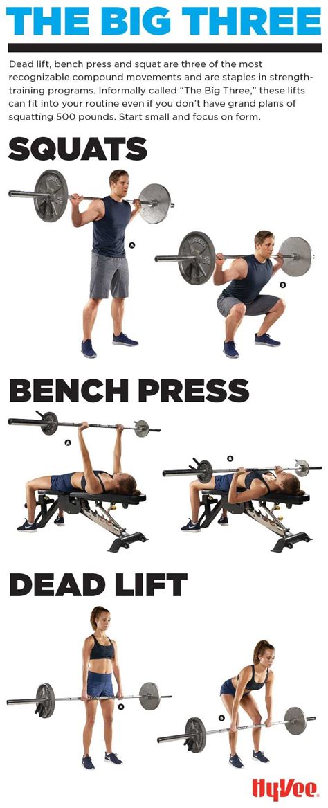 increase your bench press deadlift and squat in 5 weeks PDF