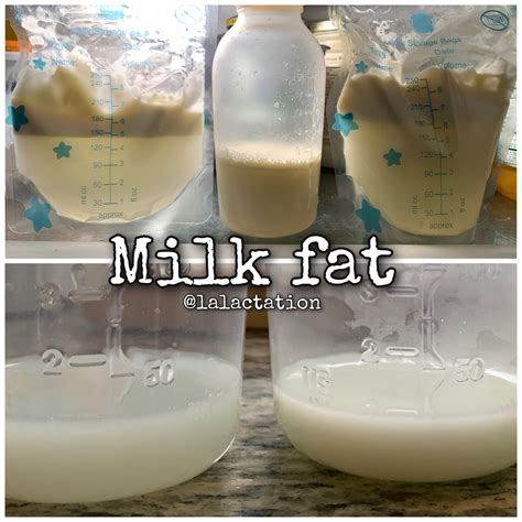 increasing fat content in breast milk