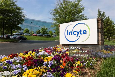 incyte pharmaceuticals stock