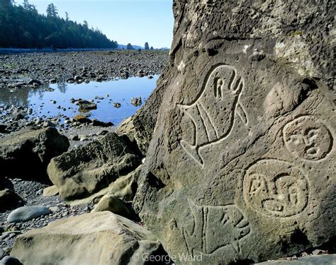 indian petroglyphs of the pacific northwest Reader