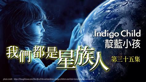 indigo 中文：揭開神秘色彩背後的科學與應用