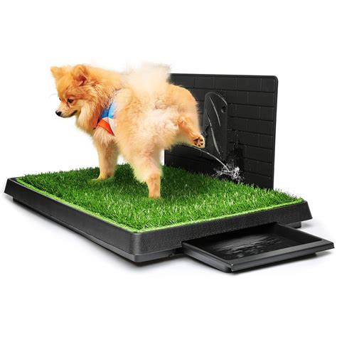 indoor grass for dogs