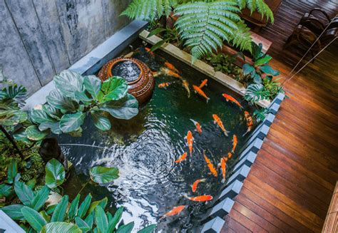 indoor koi pond