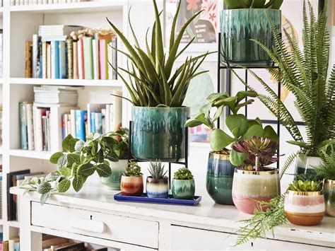 indoor planter pots