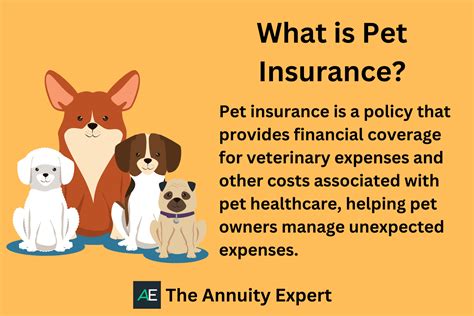 inexpensive pet insurance