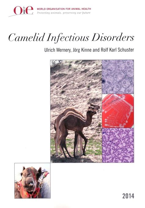 infectious diseases in camelids infectious diseases in camelids Reader