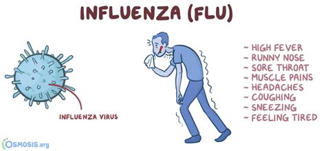 influenza the flu virus and how to survive it Epub