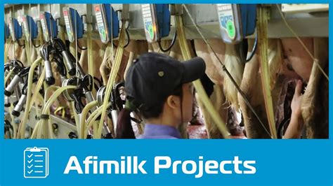 information about afimilk the heart of dairy farm PDF