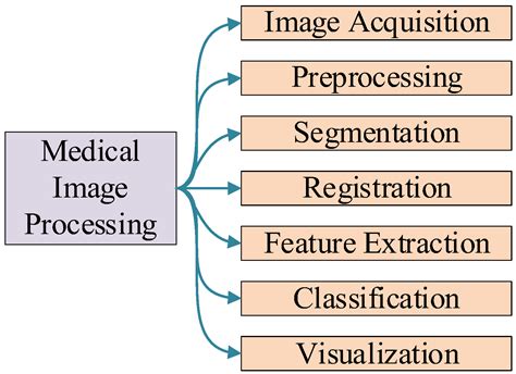 information processing in medical Epub