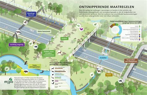 infrastructuur en natuur versnippering en ontsnippering Kindle Editon