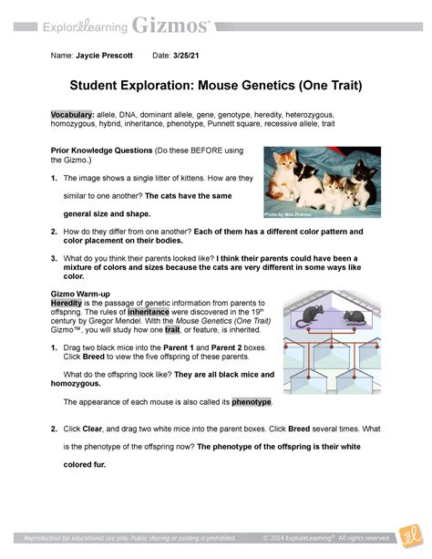 inheritance gizmo answer key activity a