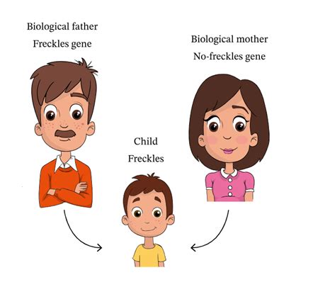 inheritance traits show me science ebook PDF