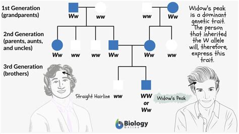 inheritance traits show me science ebook PDF