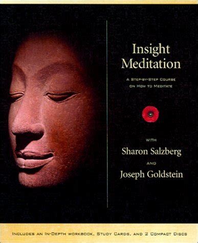 insight meditation a step by step course on how to meditate Doc