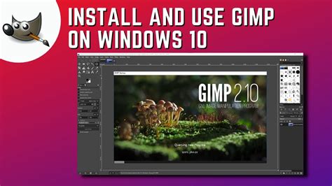 install gimp user manual windows Reader