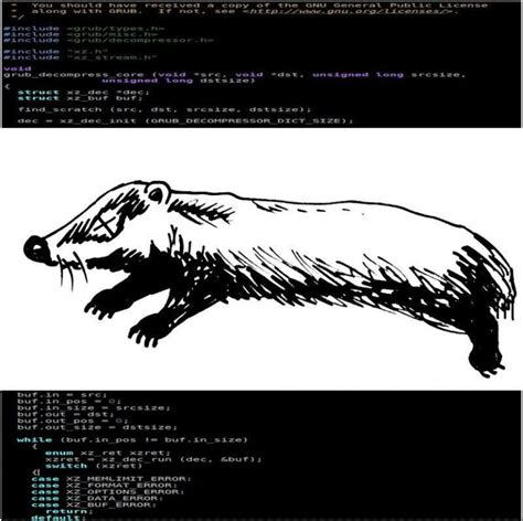 installing linux on a dead badger installing linux on a dead badger Kindle Editon