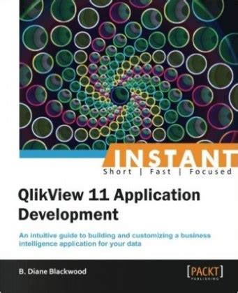 instant qlikview 11 application Doc