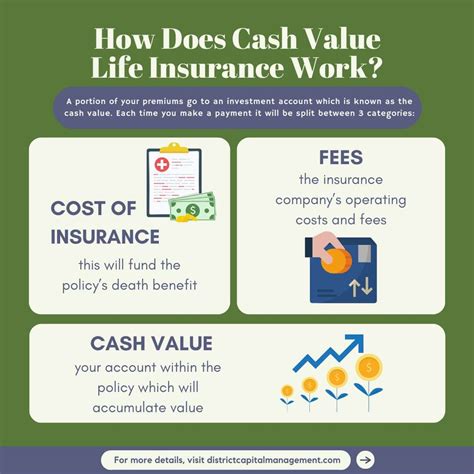 insurance cash value