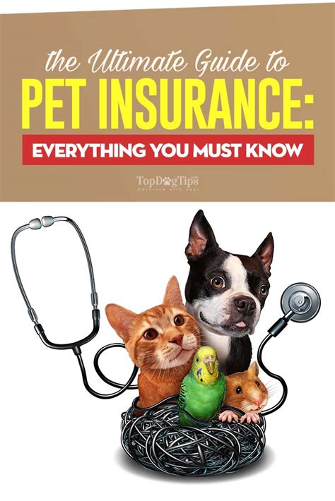 insurance for pets