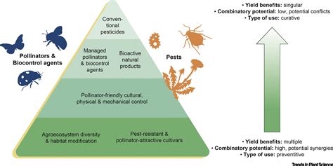 integrated control of insect pests in the netherlands Kindle Editon