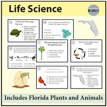 interactive Science Course 3, Life Science Florida Teachers Edition and Resource Ebook Reader