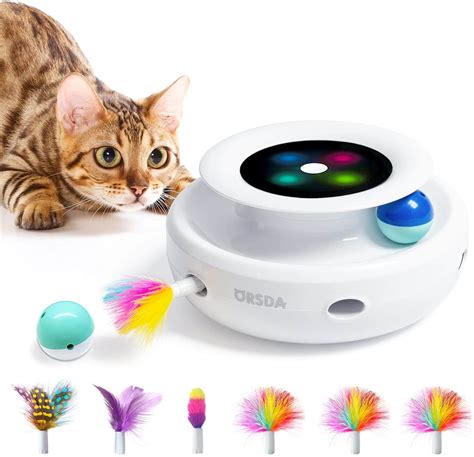 interactive cat toys