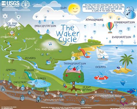 interactive water cycle diagram Epub