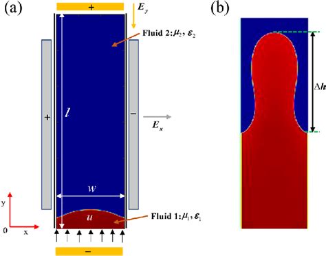 interfacial instability Epub