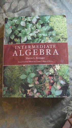 intermediate algebra 2nd custom edition for Epub