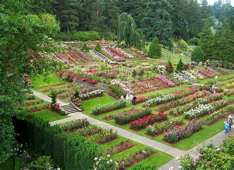 international rose test garden portland