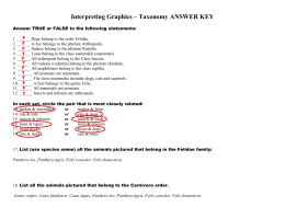 interpreting graphics taxonomy Epub