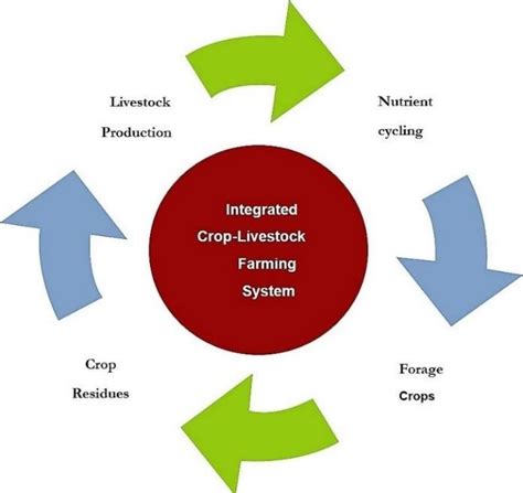 interregional adjustments in crop and livestock production interregional adjustments in crop and livestock production Doc