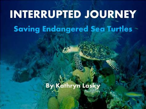 interrupted journey saving endangered sea turtles Epub
