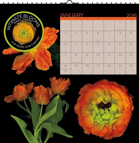 intimate blooms by robert creamer 2016 art calendar Doc