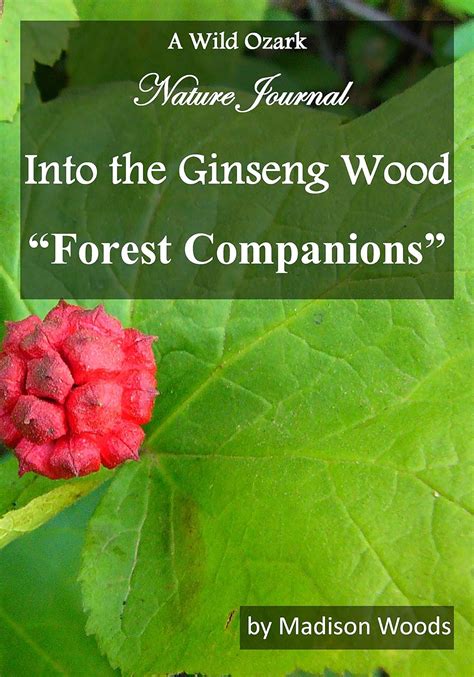 into the ginseng wood forest companions Reader