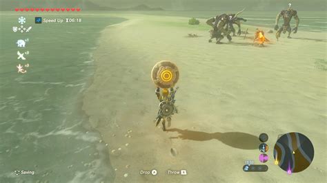 into the vortex botw