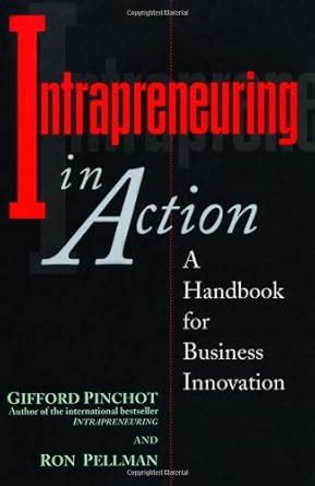 intrapreneuring in action a handbook for business innovation Reader