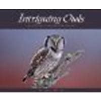 intriguing owls extraordinary images and insights Reader