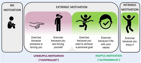 intrinsic motivation and self determination in exercise and sport Kindle Editon