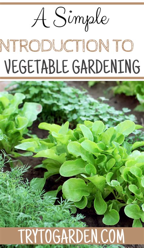 introduction to vegetable gardening Epub