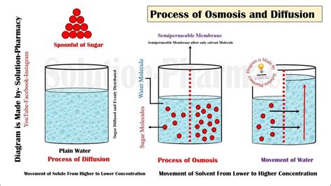 investigation 4 diffusion and osmosis collegeboard answer key Ebook Epub