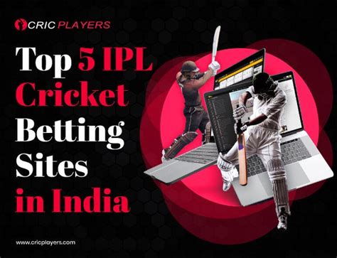 ipl cricket betting sites