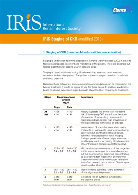 iris kidney staging cats