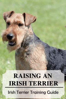 irish terrier training guide book Doc